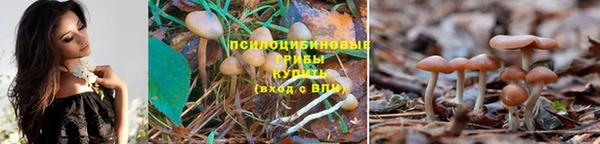 гашиш Осинники