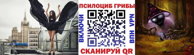 Галлюциногенные грибы Psilocybine cubensis  Томари 